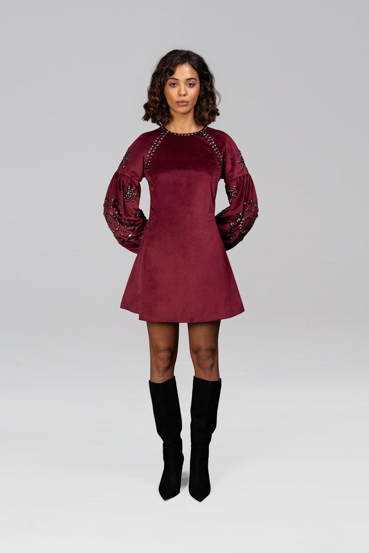 Ami Velvet Mini Dress